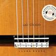 Ottmar Liebert - Up Close
